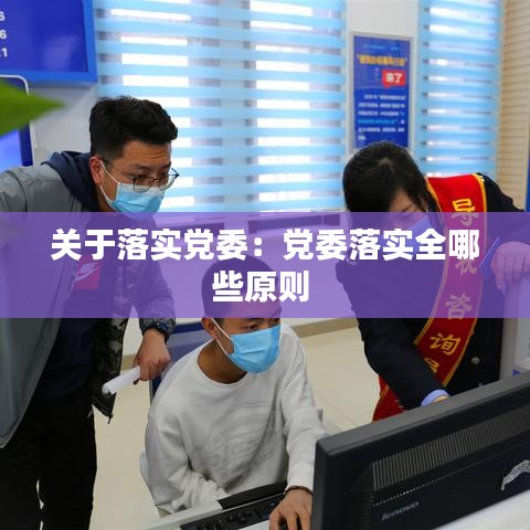 關于落實黨委：黨委落實全哪些原則 