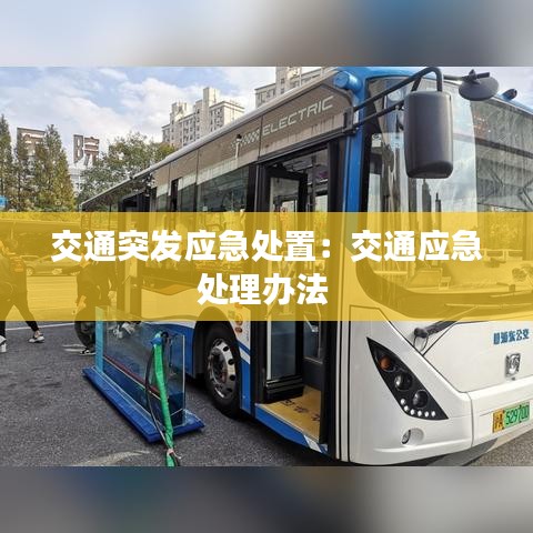 交通突發(fā)應(yīng)急處置:交通應(yīng)急處理辦法