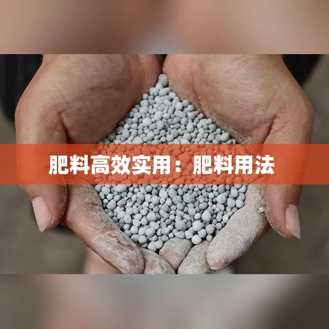 肥料高效實用:肥料用法