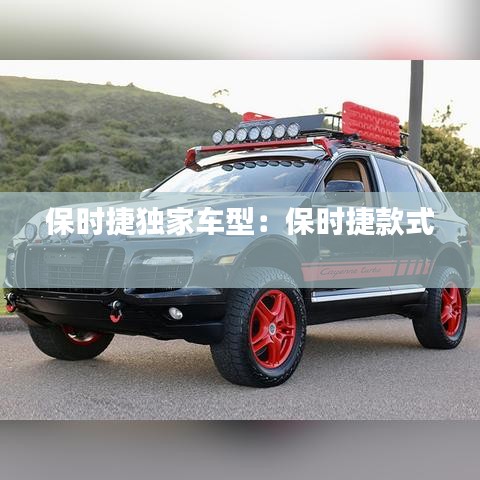 保時(shí)捷獨(dú)家車型：保時(shí)捷款式 