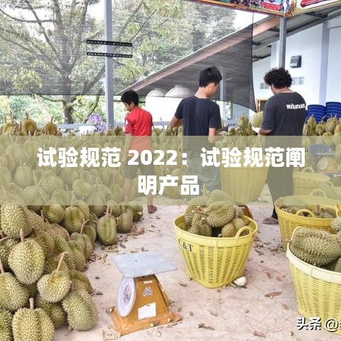 試驗規范 2022：試驗規范闡明產品 