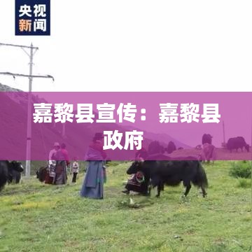 嘉黎縣宣傳:嘉黎縣政府