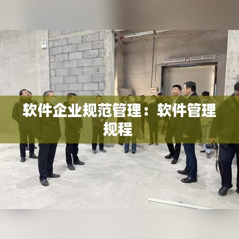 軟件企業規范管理:軟件管理規程