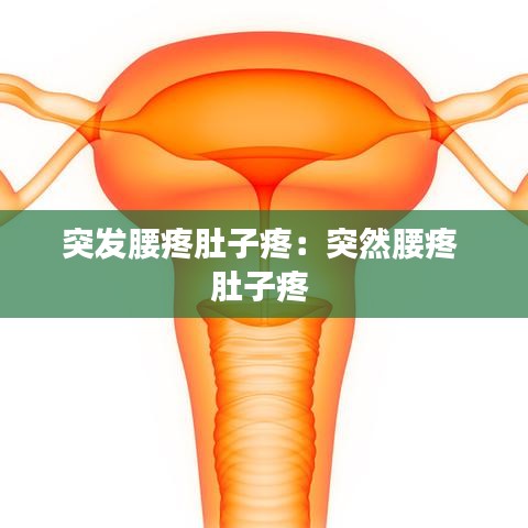 突發腰疼肚子疼:突然腰疼 肚子疼