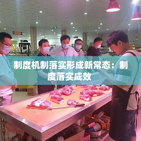 制度機制落實形成新常態:制度落實成效