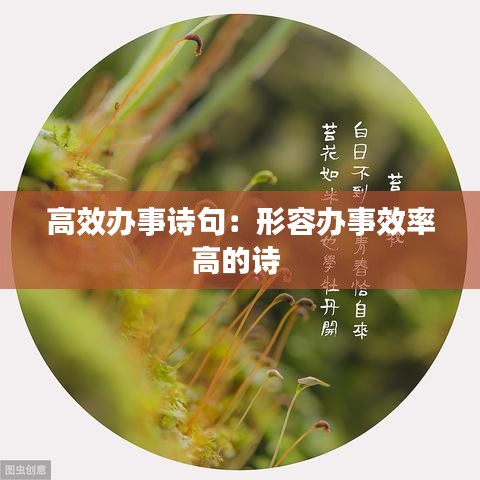 高效辦事詩(shī)句：形容辦事效率高的詩(shī) 