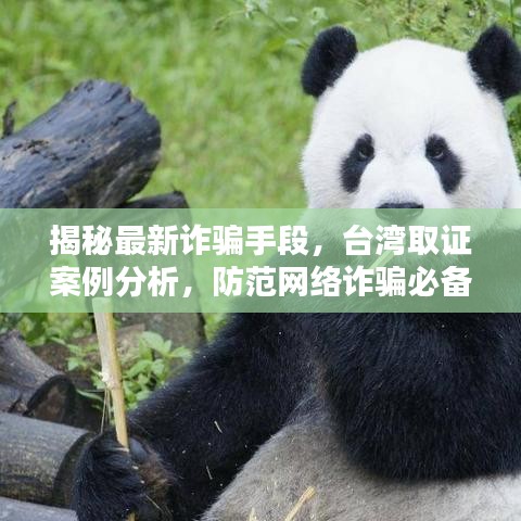 揭秘最新詐騙手段,臺灣取證案例分析,防范網絡詐騙必備知識