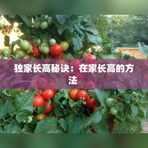 獨(dú)家長(zhǎng)高秘訣：在家長(zhǎng)高的方法 