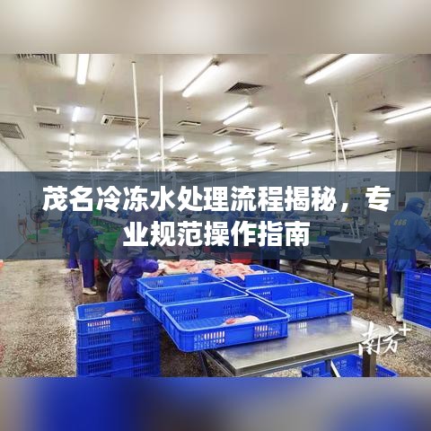 蟲言鳥跡 第4頁