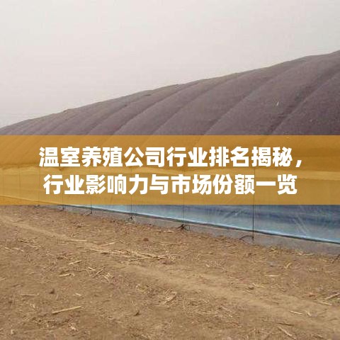 洵屬可貴 第3頁