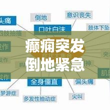 癲癇突發(fā)倒地緊急處理及預防措施指南