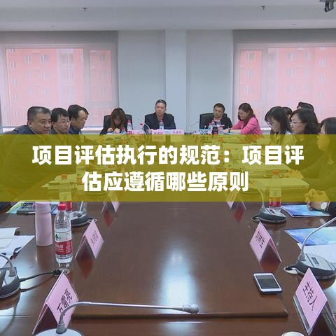 項目評估執行的規范：項目評估應遵循哪些原則 