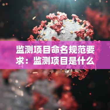 監測項目命名規范要求:監測項目是什么意思