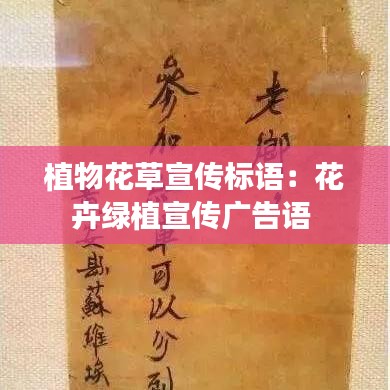 植物花草宣傳標語:花卉綠植宣傳廣告語