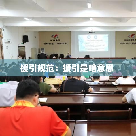 援引規范：援引是啥意思 