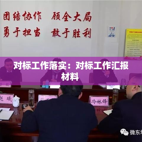 對標工作落實:對標工作匯報材料