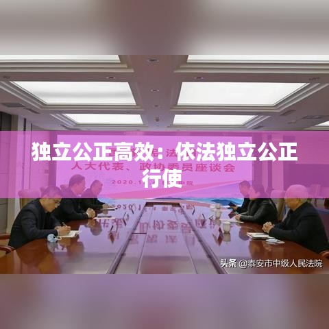 獨(dú)立公正高效:依法獨(dú)立公正行使