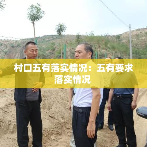 村口五有落實(shí)情況:五有要求落實(shí)情況