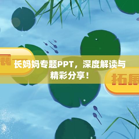 長媽媽專題PPT，深度解讀與精彩分享！