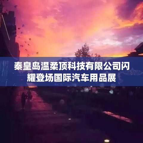 秦皇島溫柔頂科技亮相國(guó)際汽車用品展,引領(lǐng)行業(yè)新潮流