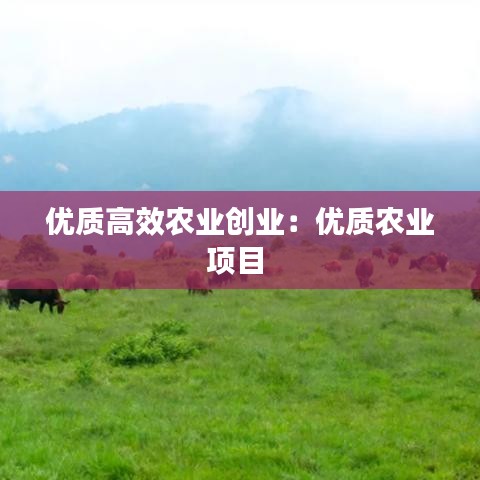 優質高效農業創業:優質農業項目