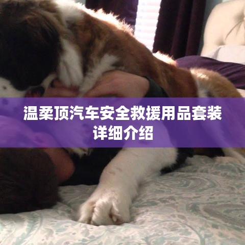 溫柔頂汽車(chē)安全救援用品套裝介紹，全方位保障您的行車(chē)安全