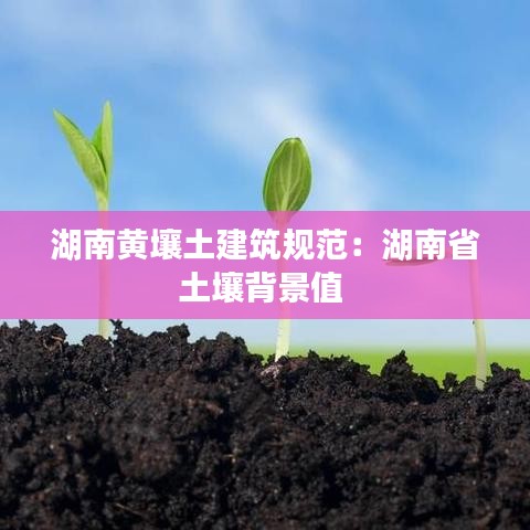 湖南黃壤土建筑規范：湖南省土壤背景值 