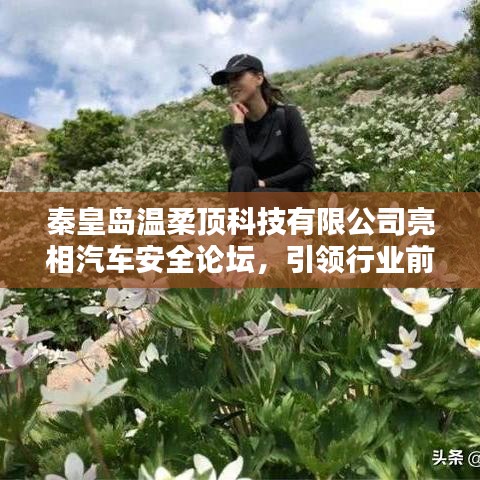 秦皇島溫柔頂科技亮相汽車安全論壇,引領前沿技術探討風潮