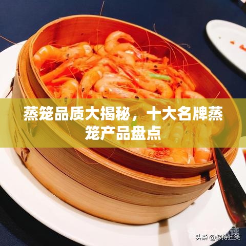 蒸籠品質(zhì)大揭秘,十大名牌蒸籠產(chǎn)品盤點