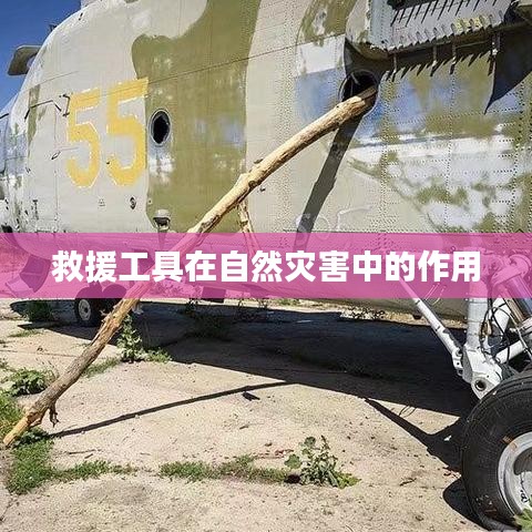 淺笑輕吟夢一曲 第5頁