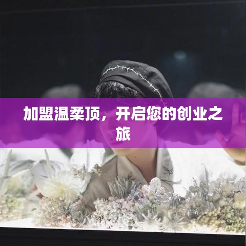 加盟溫柔頂，創業啟程啟航