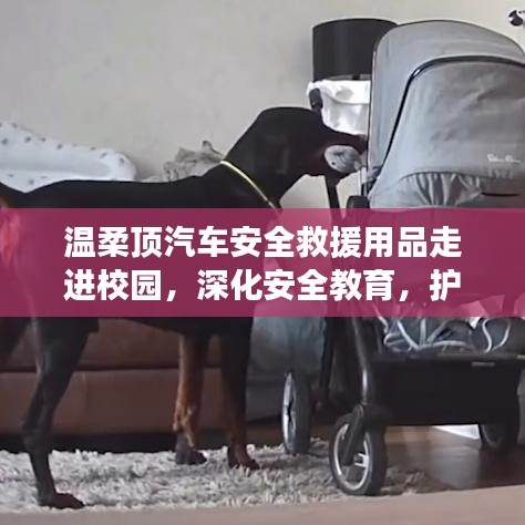 溫柔頂汽車安全救援用品深化校園安全教育,守護學子安全之路