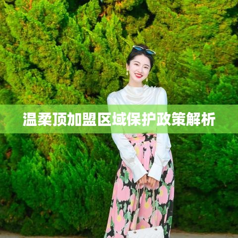 溫柔頂加盟區域保護政策深度解讀