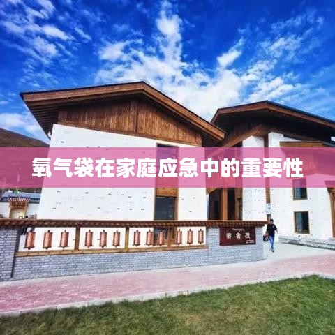 氧氣袋在家庭應(yīng)急中的關(guān)鍵作用與重要性