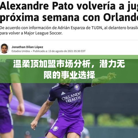 溫柔頂加盟市場深度解析，事業潛力無限選擇