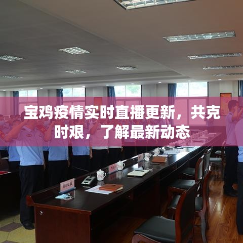 寶雞疫情實時直播更新，共克時艱，了解最新動態