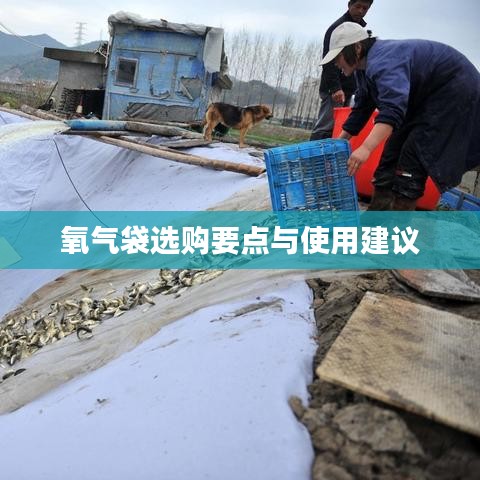 氧氣袋選購指南，要點(diǎn)解析與使用建議