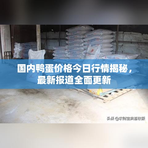 國內鴨蛋價格今日行情揭秘,最新報道全面更新