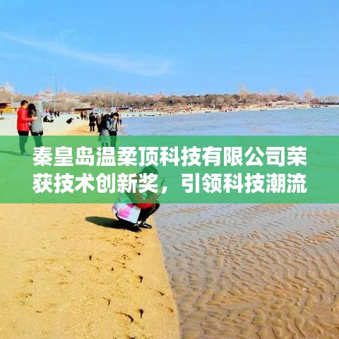 秦皇島溫柔頂科技榮獲創新獎,引領行業潮流,鑄就典范地位