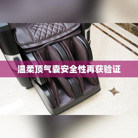 溫柔頂氣囊安全性能驗證報告