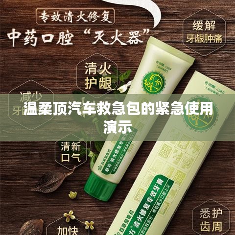 溫柔頂汽車救急包緊急使用指南，演示篇