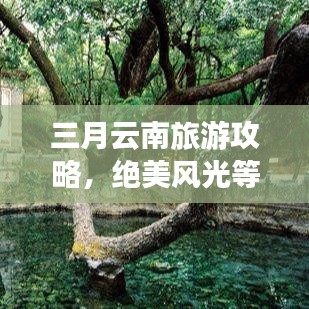 三月云南旅游攻略，絕美風(fēng)光等你來探！