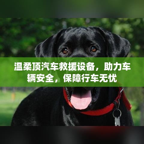 溫柔頂汽車救援設(shè)備,保障行車安全無憂