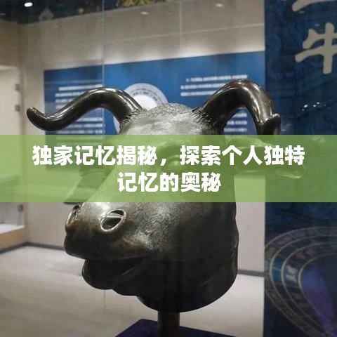 獨(dú)家記憶揭秘,探索個(gè)人獨(dú)特記憶的奧秘