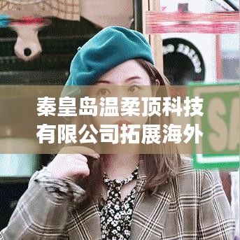 秦皇島溫柔頂科技海外市場拓展策略解析