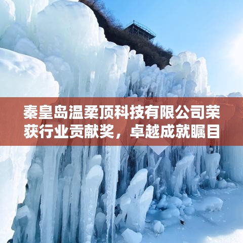 秦皇島溫柔頂科技榮獲行業(yè)貢獻獎，引領創(chuàng)新風潮，卓越成就矚目
