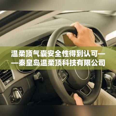 秦皇島溫柔頂科技引領行業(yè)新標桿，氣囊安全性備受認可