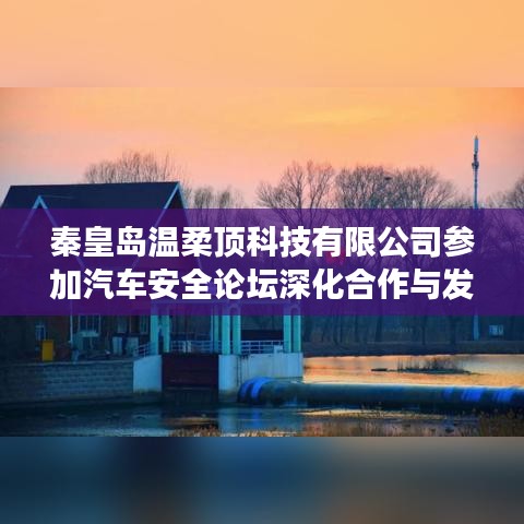 秦皇島溫柔頂科技參加汽車安全論壇，深化合作，共謀發(fā)展