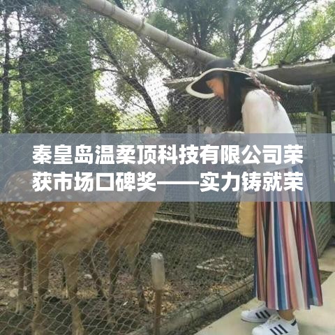 秦皇島溫柔頂科技榮獲市場(chǎng)口碑獎(jiǎng)，實(shí)力創(chuàng)新，引領(lǐng)未來