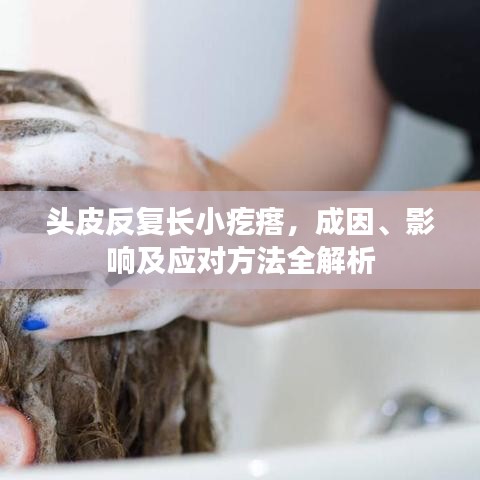 頭皮反復長小疙瘩,成因、影響及應對方法全解析